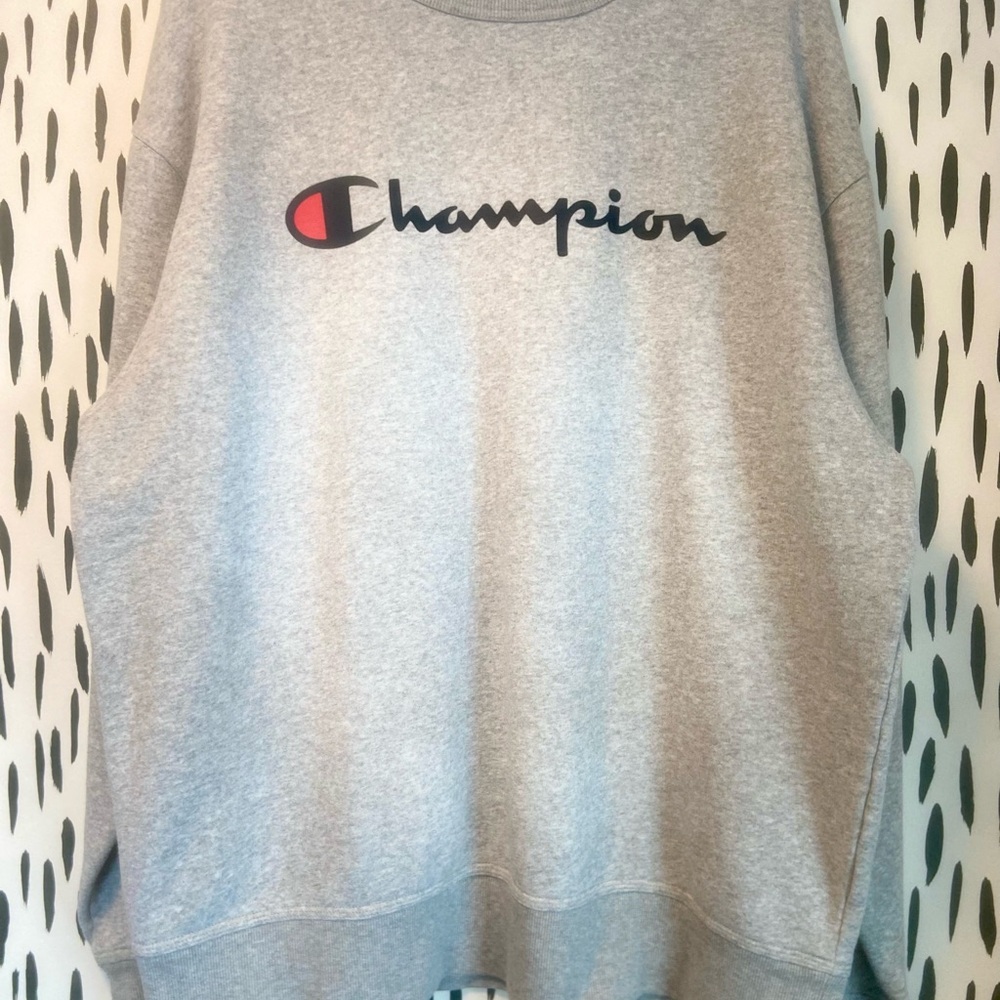 Champion Gray Sweatshirt